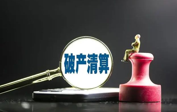 宜賓三家公司步入破產(chǎn)清算程序 專業(yè)服務護航市場出清